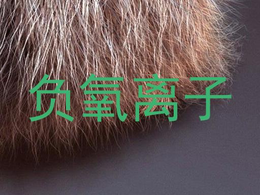 负氧离子