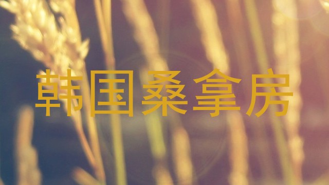 韩国桑拿房