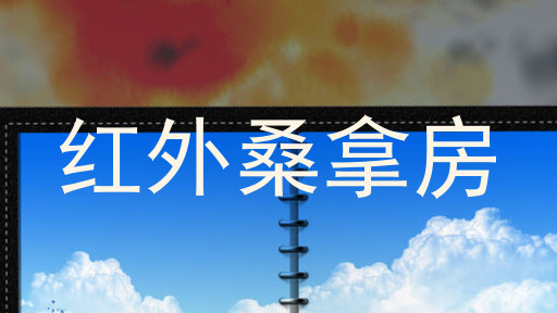 红外桑拿房
