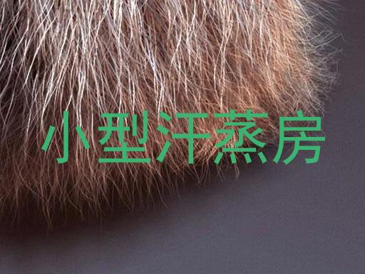 小型汗蒸房