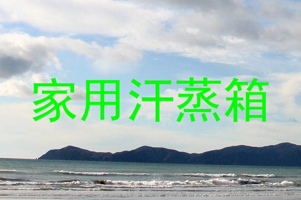 家用汗蒸箱