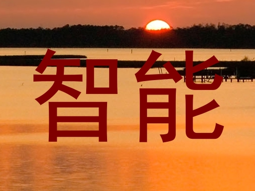 智能