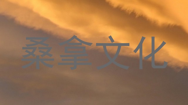 桑拿文化