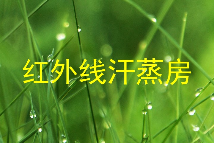红外线汗蒸房