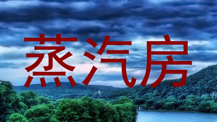 蒸汽房