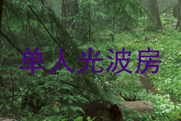 单人光波房