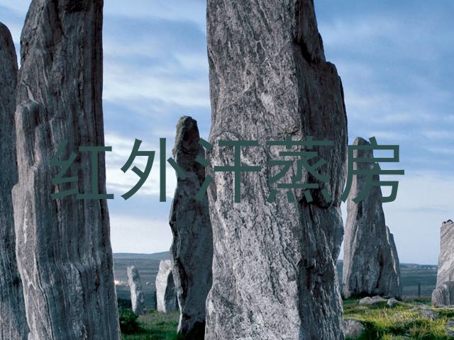 红外汗蒸房