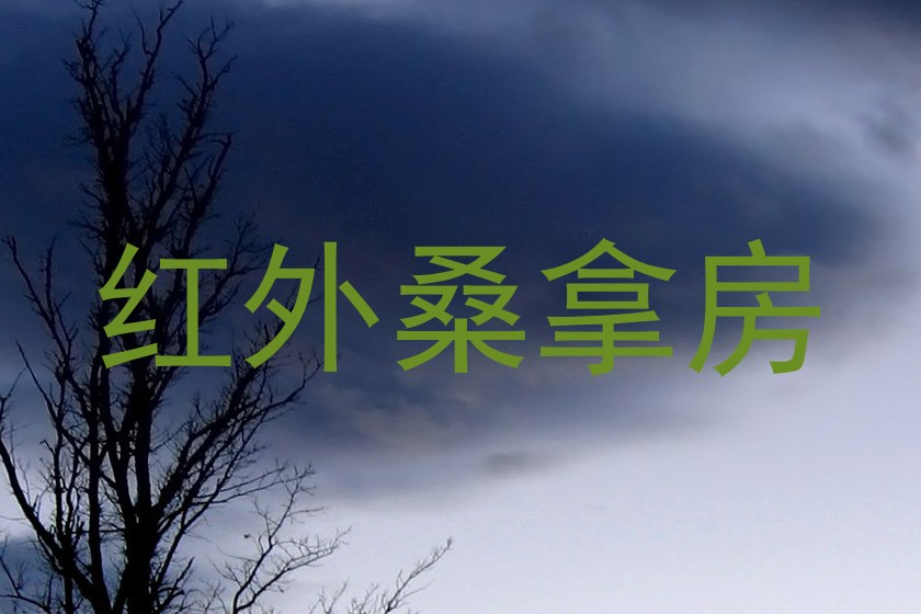 红外桑拿房