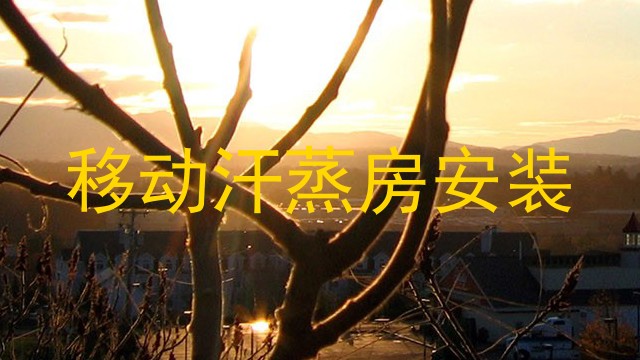 移动汗蒸房安装