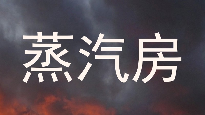 蒸汽房