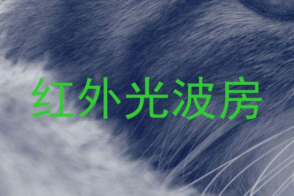 红外光波房