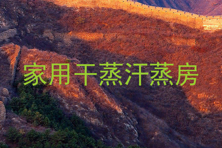 家用干蒸汗蒸房