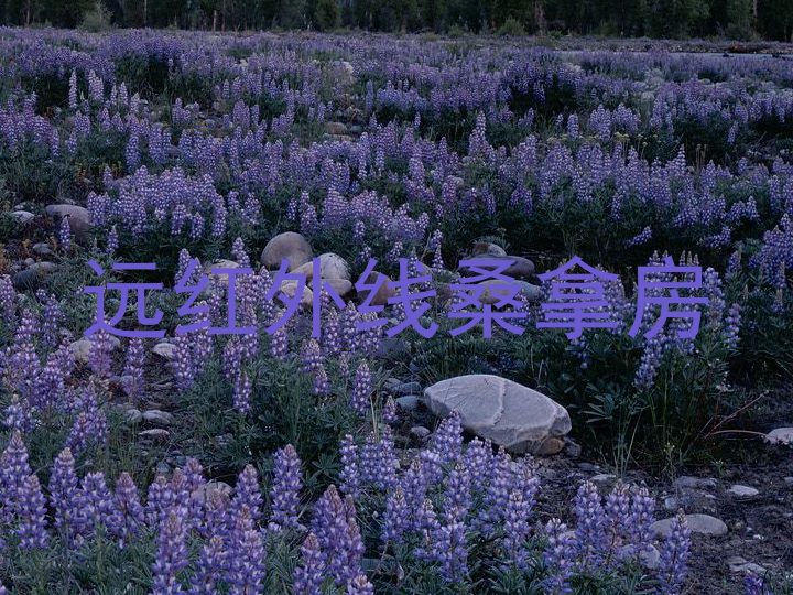 远红外线桑拿房