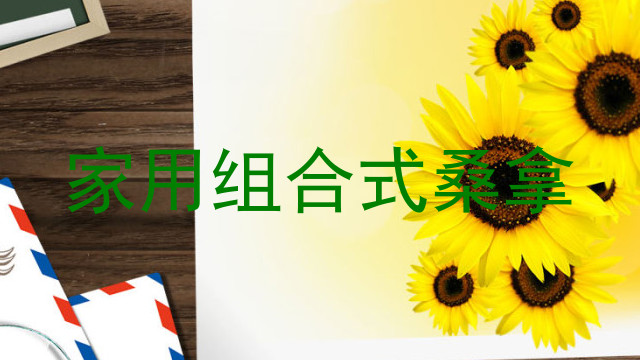 家用组合式桑拿