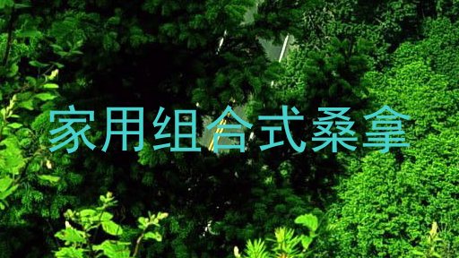 家用组合式桑拿