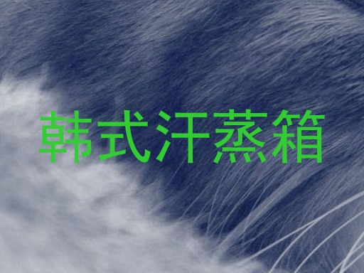韩式汗蒸箱