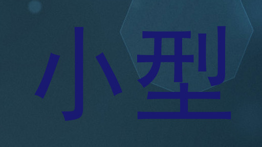 小型