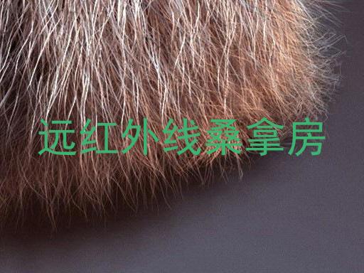 远红外线桑拿房