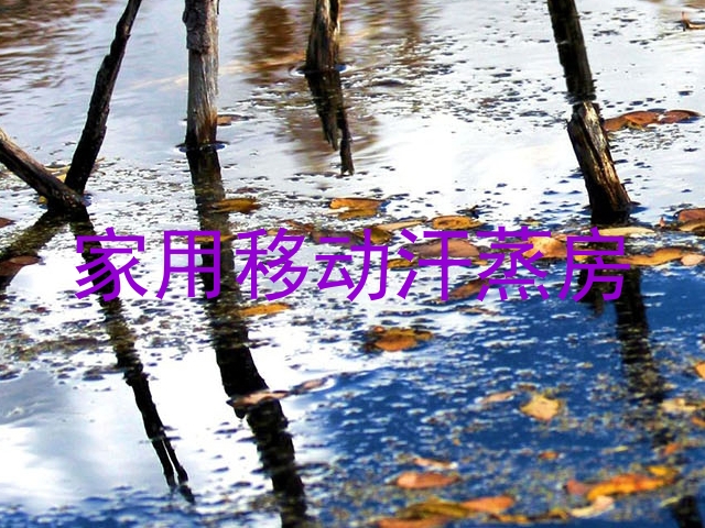 家用移动汗蒸房