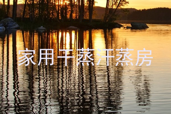 家用干蒸汗蒸房