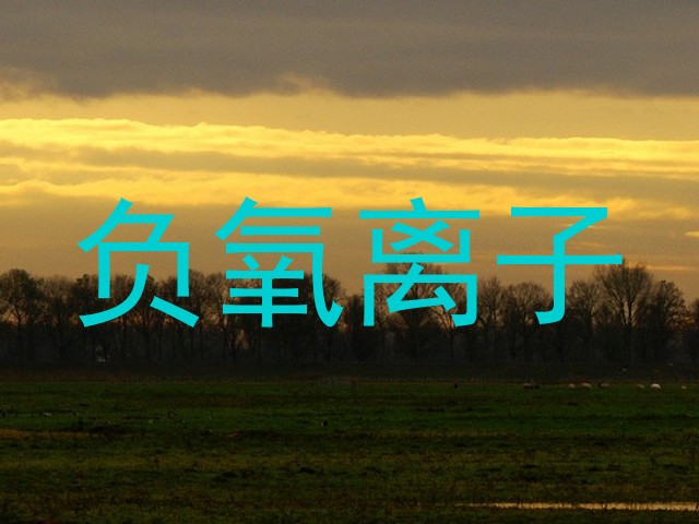 负氧离子