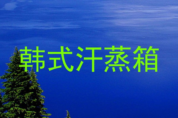 韩式汗蒸箱