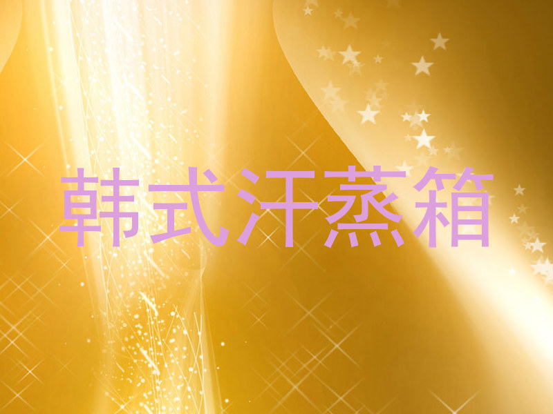 韩式汗蒸箱