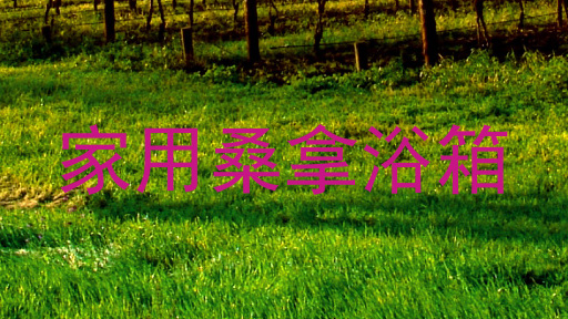 家用桑拿浴箱