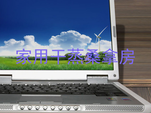 家用干蒸桑拿房