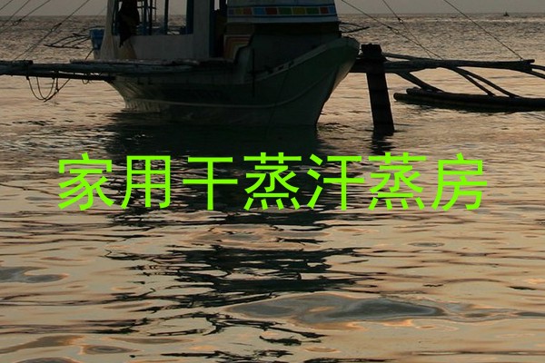 家用干蒸汗蒸房