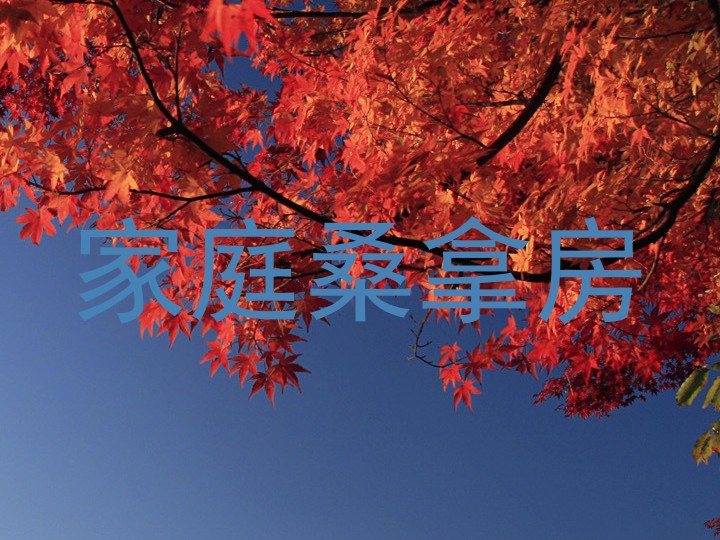 家庭桑拿房