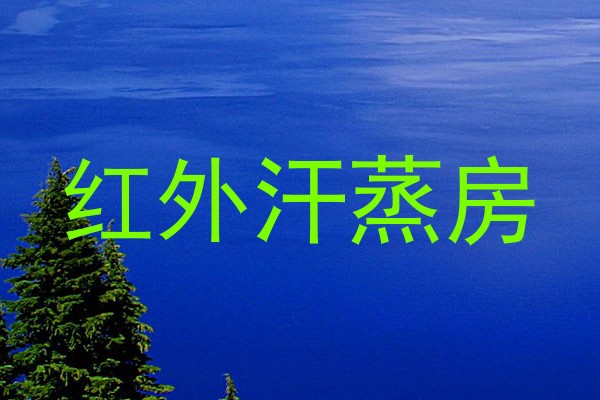 红外汗蒸房