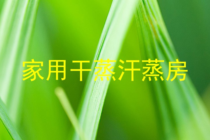 家用干蒸汗蒸房