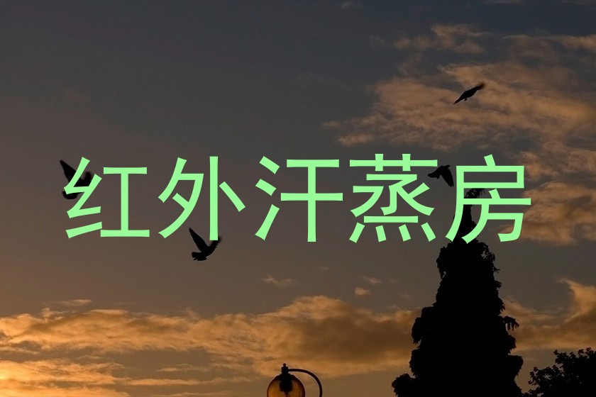 红外汗蒸房