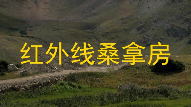 红外线桑拿房