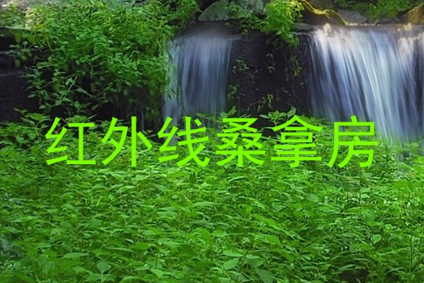 红外线桑拿房