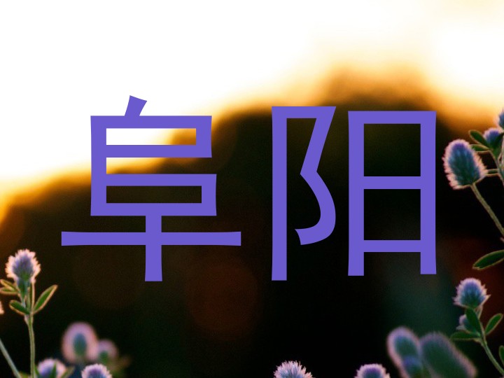 阜阳