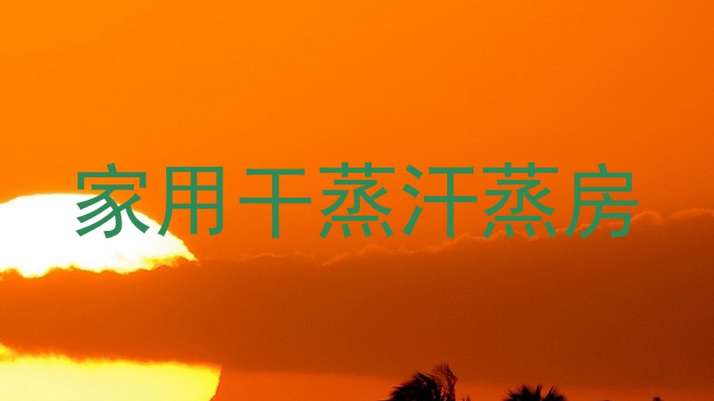 家用干蒸汗蒸房