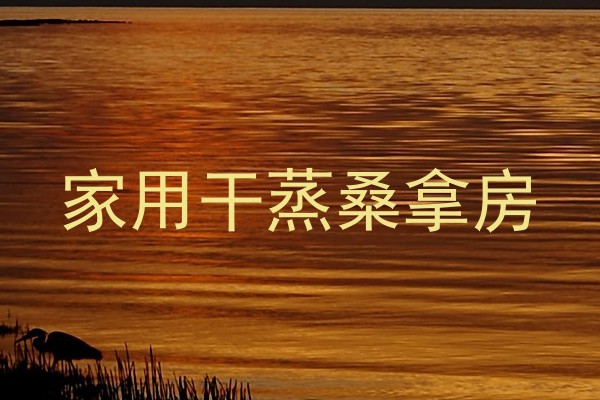 家用干蒸桑拿房