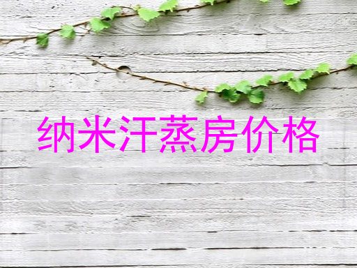 纳米汗蒸房价格