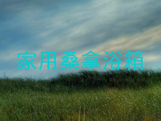 家用桑拿浴箱
