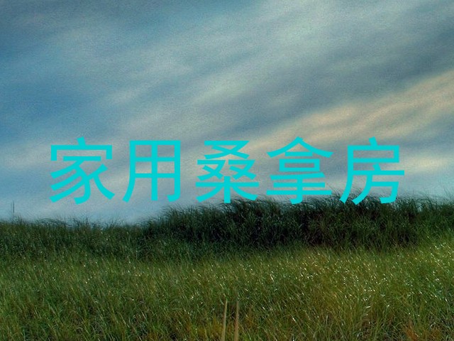 家用桑拿房