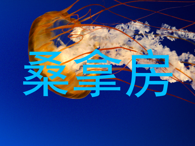 桑拿房