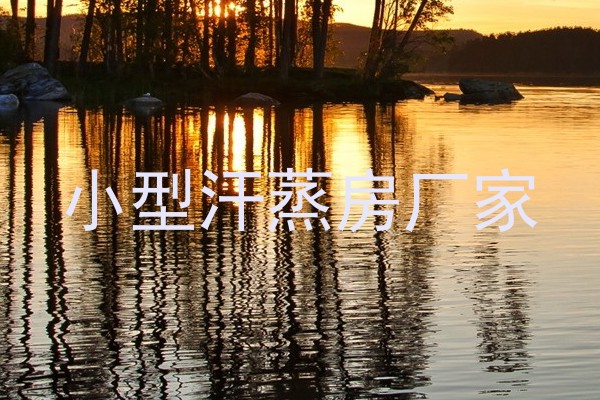 小型汗蒸房厂家