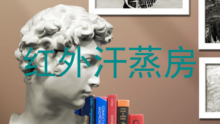 红外汗蒸房