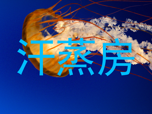 汗蒸房