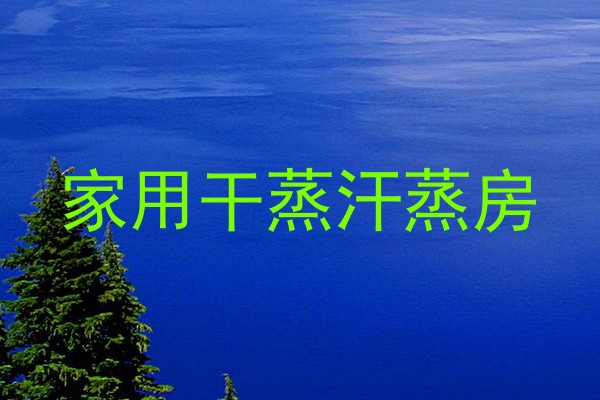 家用干蒸汗蒸房