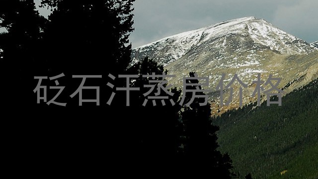 砭石汗蒸房价格