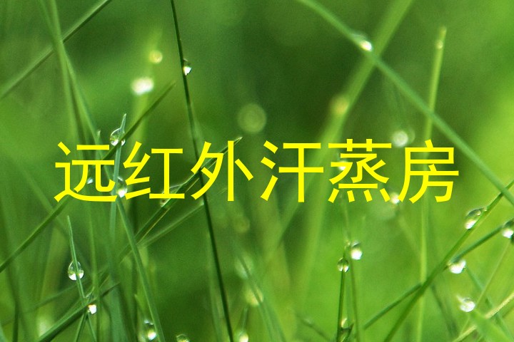 远红外汗蒸房