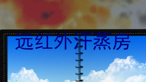 远红外汗蒸房